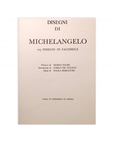 1964: Disegni di Michelangelo